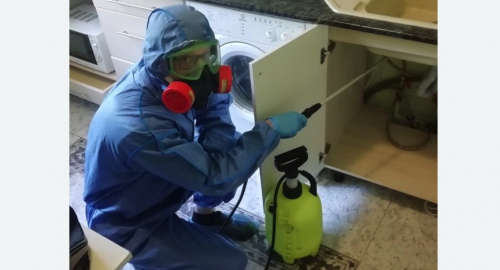 Уничтожение муравьев в квартире. Корсаков