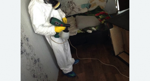 Обработка квартир от насекомых в Корсакове