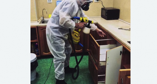 Дезинсекция квартиры. Корсаков
