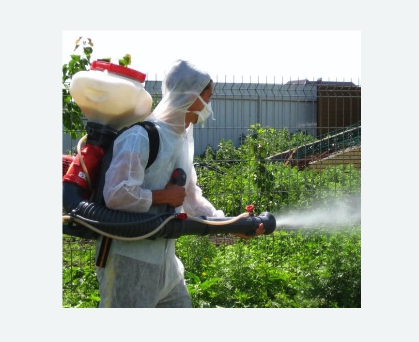 Акарицидная обработка территории в Корсакове