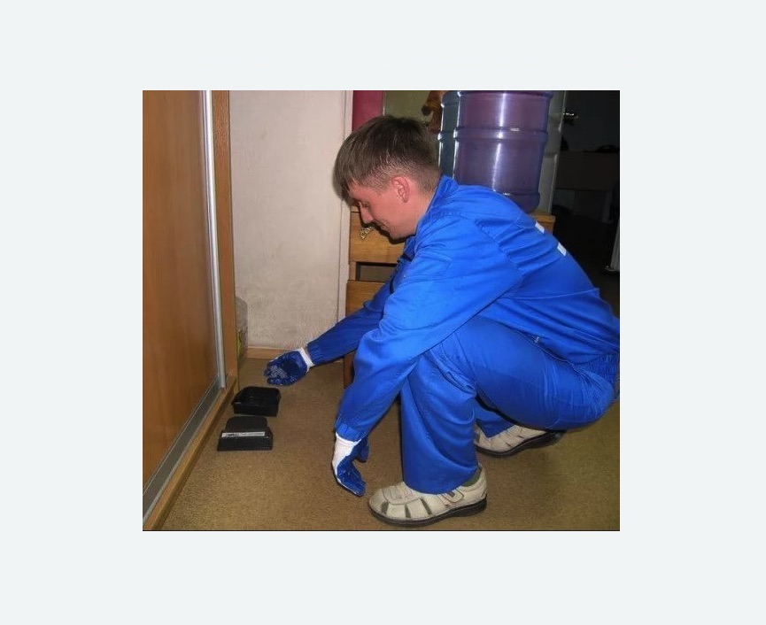 Дератизация крыс в Корсакове