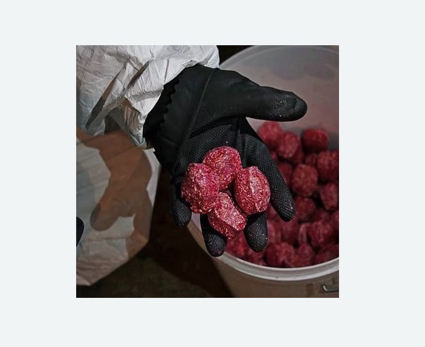 Обработка от крыс в Корсакове