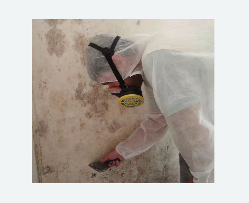 Обработка стен от плесени в Корсакове