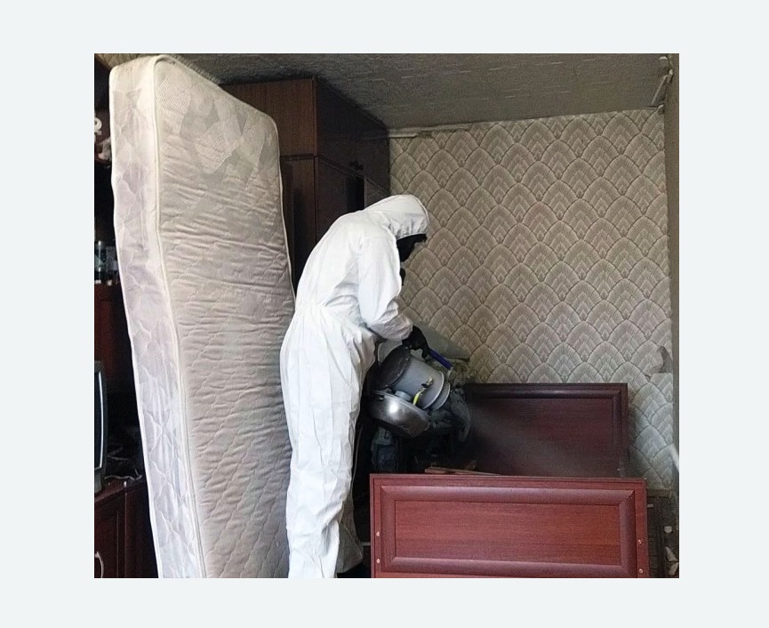 дезинфекция от клопов в Корсакове