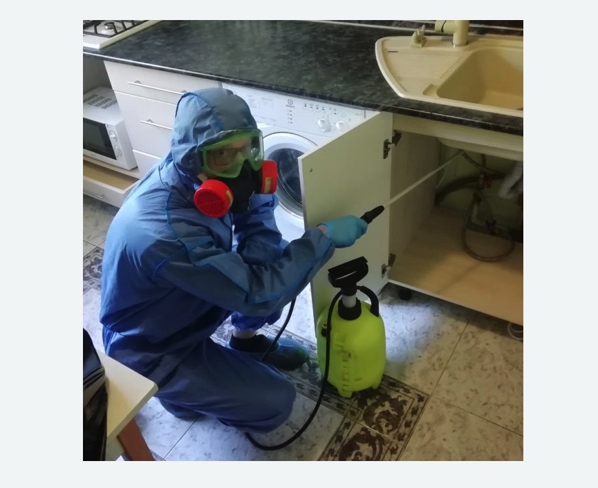 обработка от муравьев в квартире в Корсакове