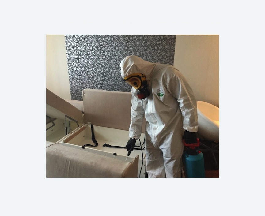 уничтожение клопов в квартире в Корсакове