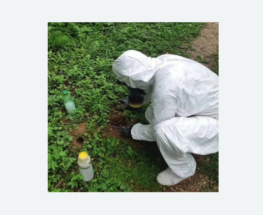 уничтожение кротов на участке в Корсакове