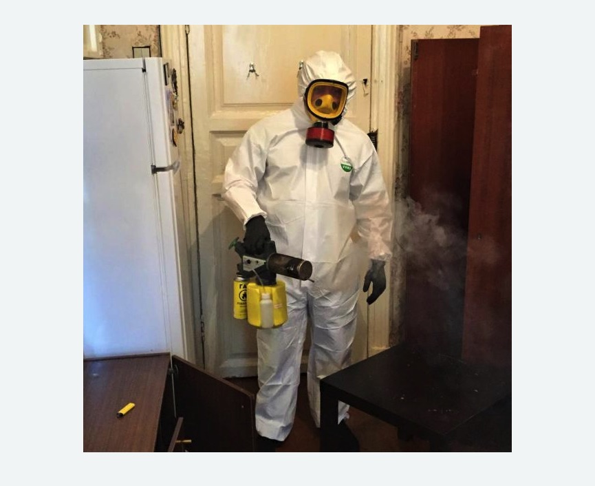 уничтожение муравьев в квартире в Корсакове